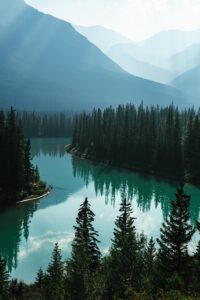 A serene forest lake in the middle of misty mountains.